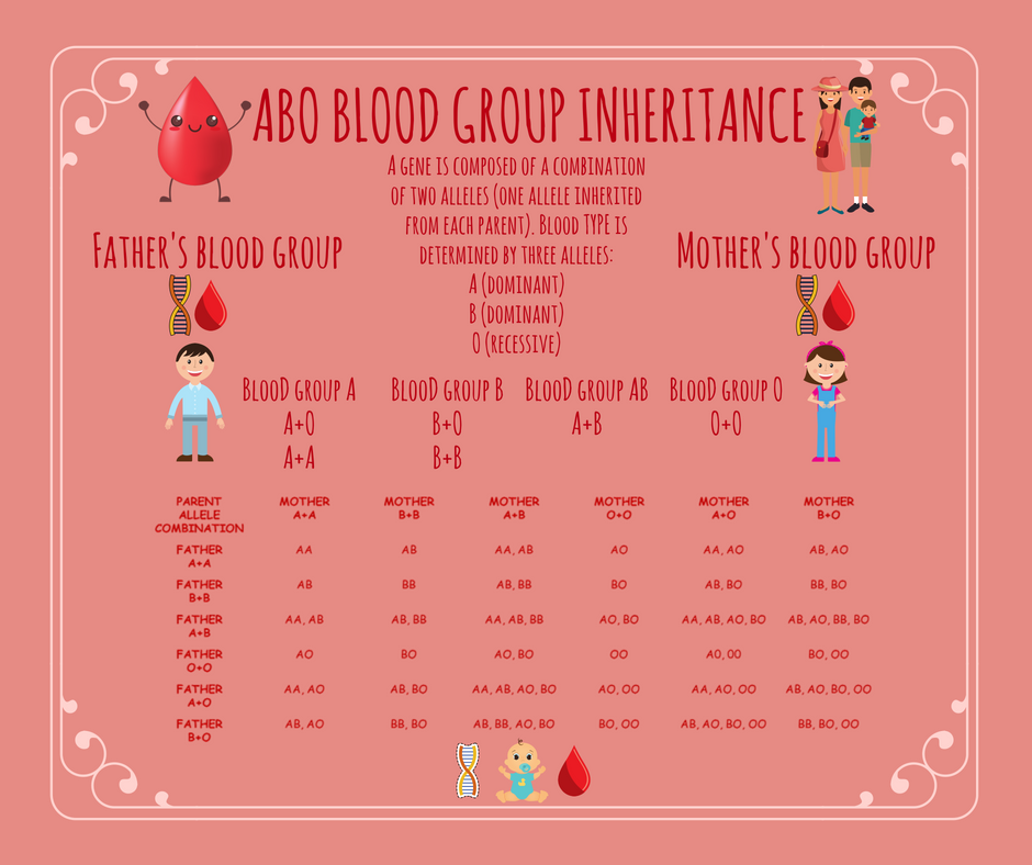 Blood-group-inheritance